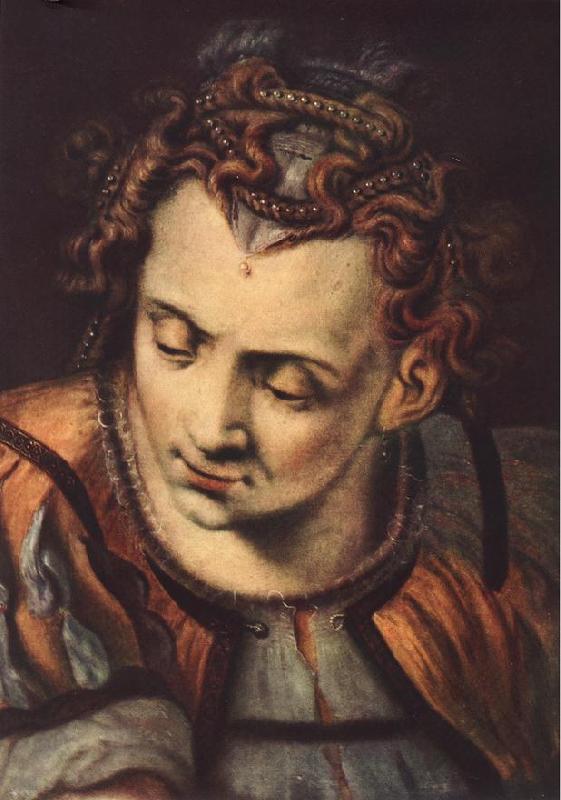 FLORIS, Frans Head of a Woman dfs oil painting picture